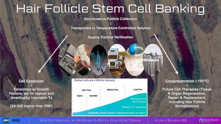 Hair Follicle Stem Cell Banking