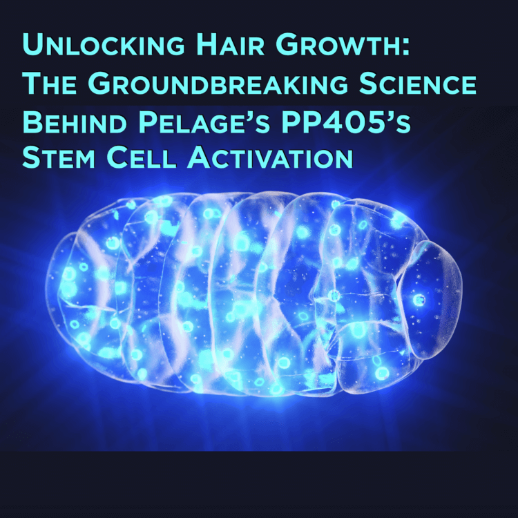 Pelage PP405 Stimulates Hair Follicle Stem Cells via Mitochondria in Phase 1 Trial