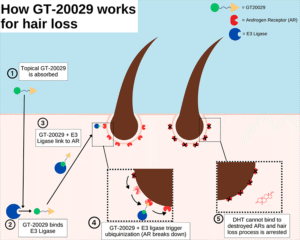 Image credit: Mechanism of action diagram for GT20029. Courtesy of iBeauty.com .